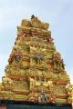 Sita Amman Temple